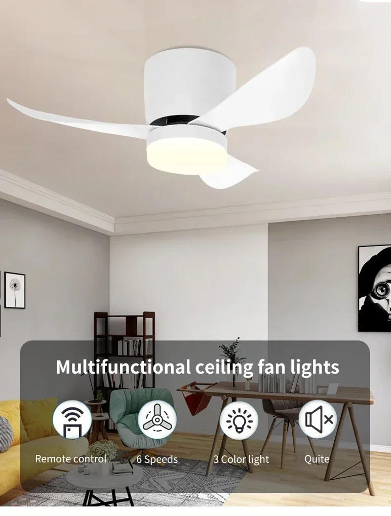 Description Picture 5 of itemLow Floor Modern LED Ceiling Fan with Variable Frequency DC Remote Control, Household Use, Ventilation Fan, Fan with Lights