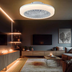 IRALAN modern smart Fan lighting with remote control sealing fan led lighting ceiling fan for kitchen bedroom chandelier fan