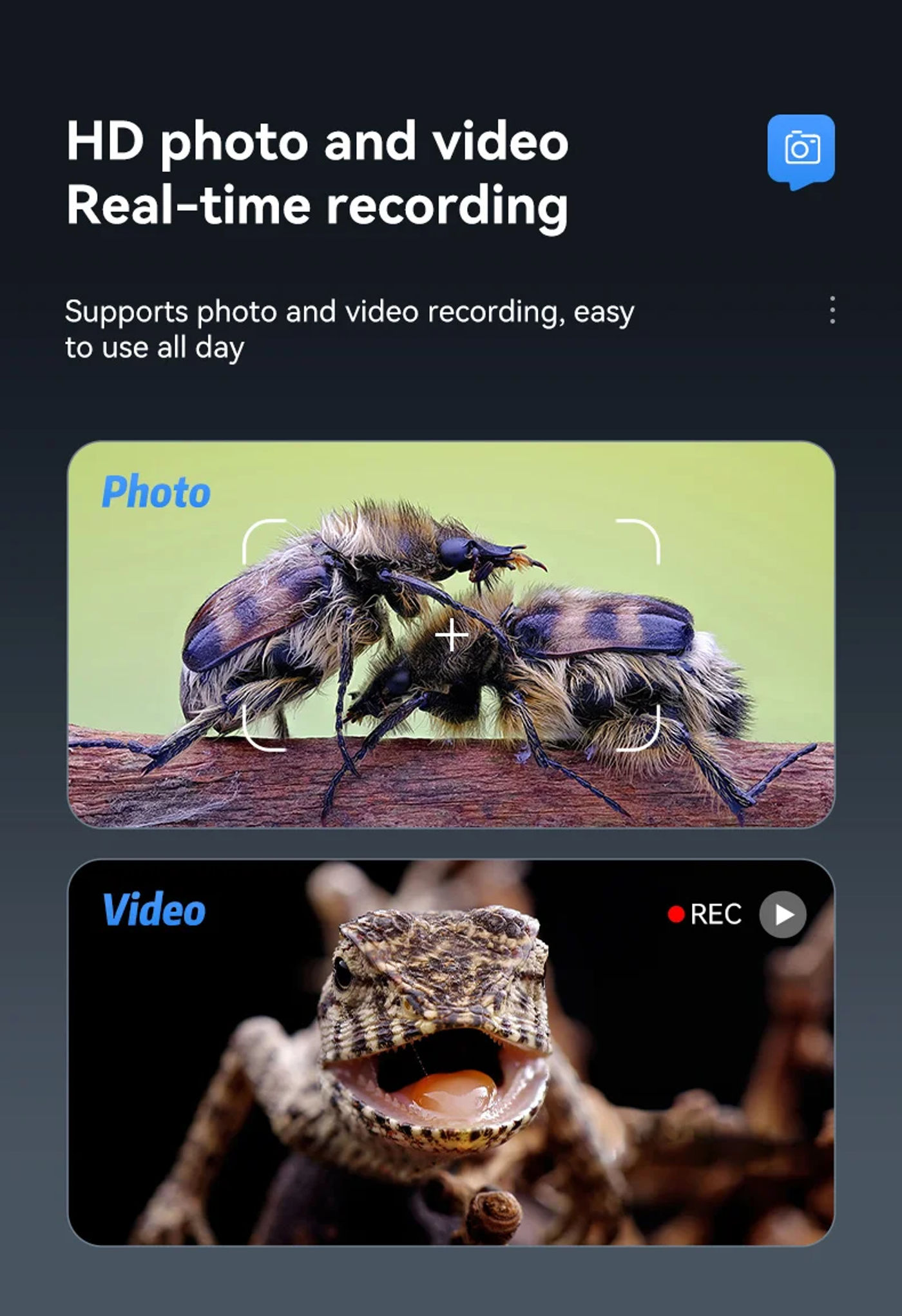 head_title lazy