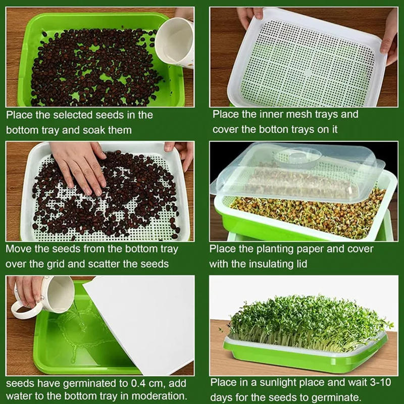 Description Picture 5 of item1set Sprouting Tray With Cover Pea Bean Wheat Seedling Germination Plate Cat Grass Wheatgrass Soilless Hydroponics Planting Pots