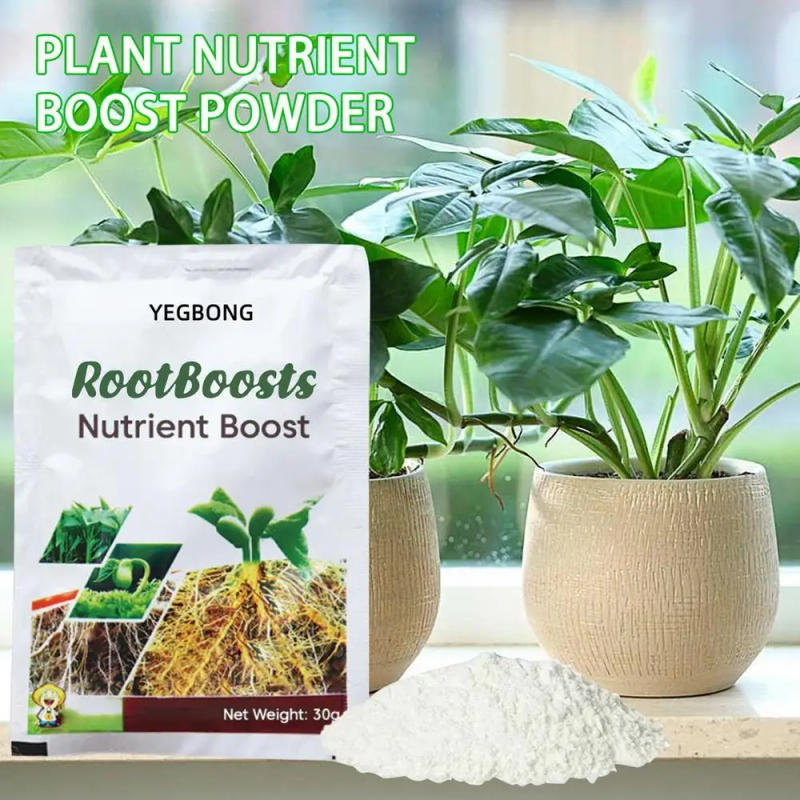 Description Picture 3 of itemFast Rooting Powder Rooting Hormones Powder Improve Flowering Cutting Survival Rate Plants Grow Cut Dip Powder Fertilizer 30g