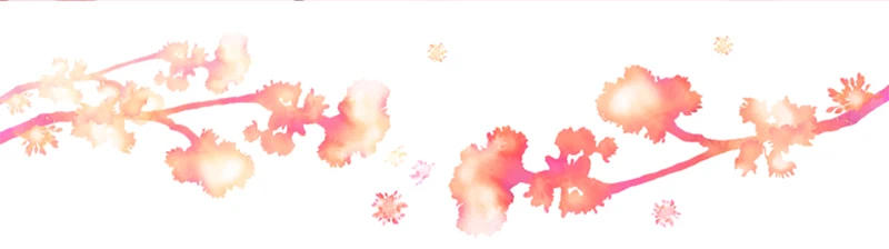 Description Picture 4 of item10Meters 6-30mm Nylon Elastic Band for Bra Underwear Strap Runbber Tape Pants Stretch Webbing Bands DIY Sewing Accessories