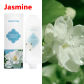 Jasmine-NEW