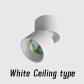 White Ceiling type