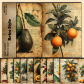 T9-10PCS