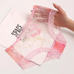 Sexy Embroidery Women Panties Lace Edge Mesh Transparent Briefs Floral Low Waist Seamless Underwear Female Underpants