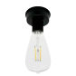 Base Bulb