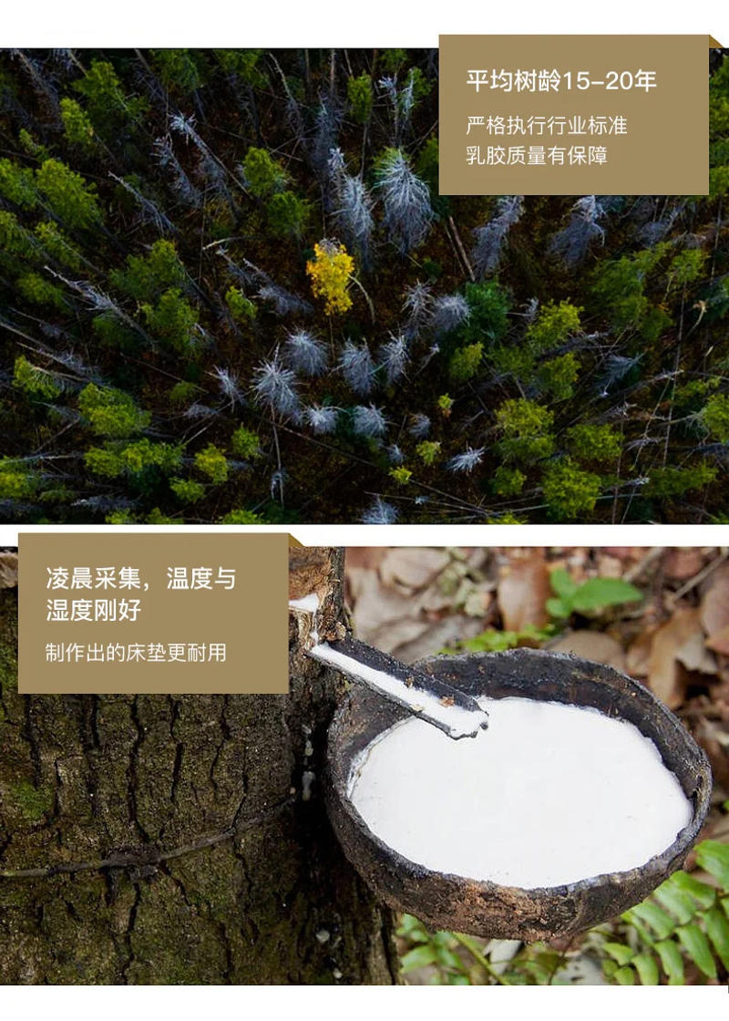 Description Picture 4 of itemfull size pillowtop bed mattress soft thailand material queen latex tatami mattresses sleep natural latex colchones furniture