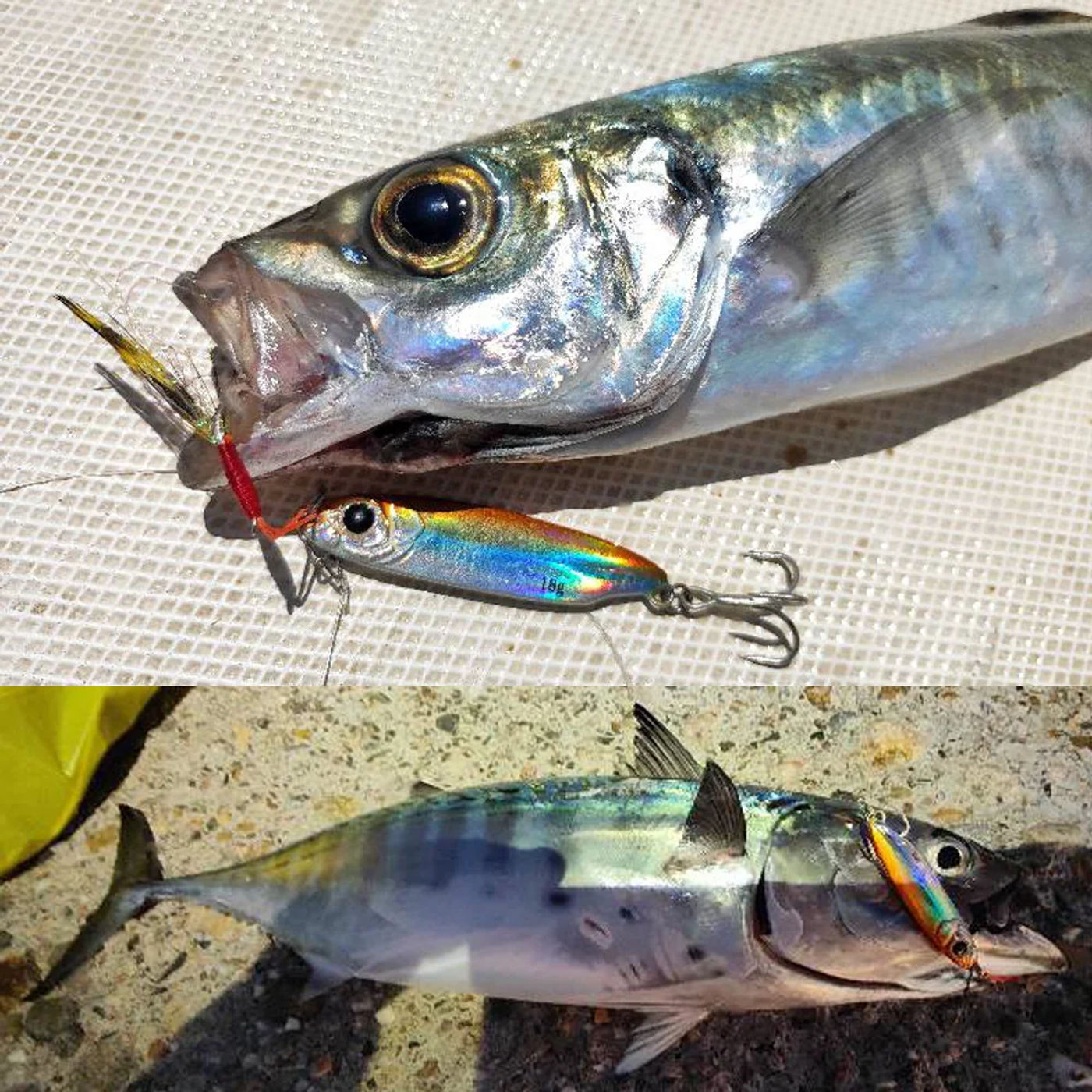Description Picture 6 of itemMetal Jig Artificial Bait 10g 15g 18g Shore Cast Wobbler Feather Hook Laser Cover Sinking Spinner Tools Fishing Accessories Lure