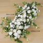 100x50cm flower row