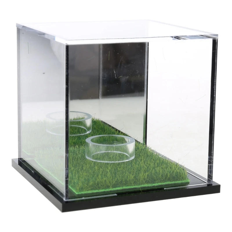 Description Picture 2 of itemAcrylic Golf Balls Display Case Clear Baseball Holder Dustproof Golf Balls Case