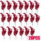 20pcs