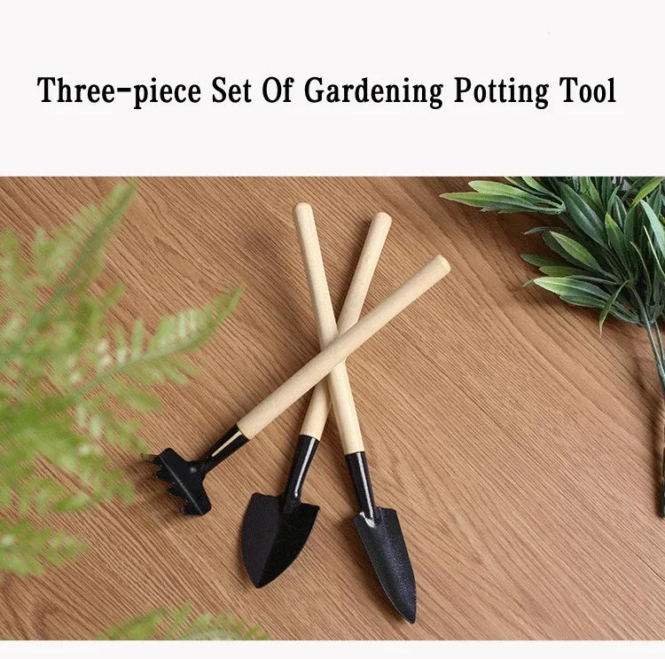 Description Picture 2 of itemMini Garden Potting Tool Wooden Handle Shovel, Rake, Multi-purpose Household, Plant, Bonsai, Loose Soil, Set of3 Gardening Tools