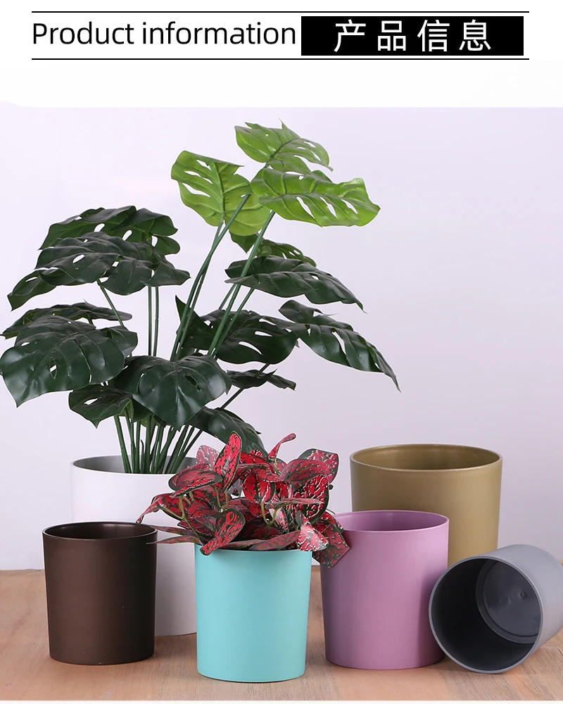Description Picture 5 of item1PC Simple Plastic Flower Pot with Tray Colorful Round Creative Fleshy Plastic Pot Indoor Desktop Green Plant