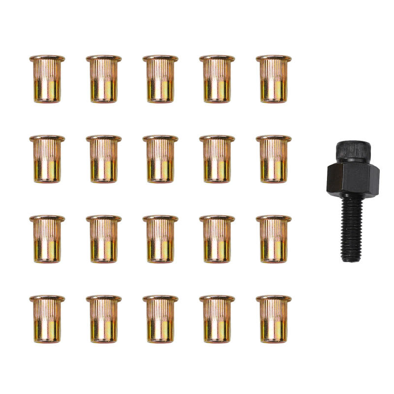 Description Picture 2 of itemSpare Part for Hand Rivet Tool Belt 21PCS Hand Rivet Nut Head Nut Set M3 Cost effective Solution Iron Galvanized Nuts