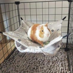 Summer Cooling Pet Hammock Breathable Comfortable Hamster Hanging Beds Easy To Clean Waterproof Squirrel Sleeping Bag