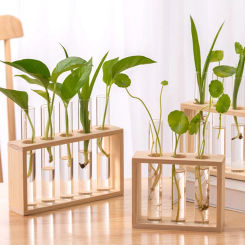 Hydroponic Plants Container with Wood Frame, Clear Glass Test Tube Vase for Living Rooms Office Delicate Decor