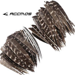 36pcs 4inch and 5inch Arrow Feather Turkey Feather Arrow Vanes For Arrow DIY Fletching Feather Arrow Accessory RW