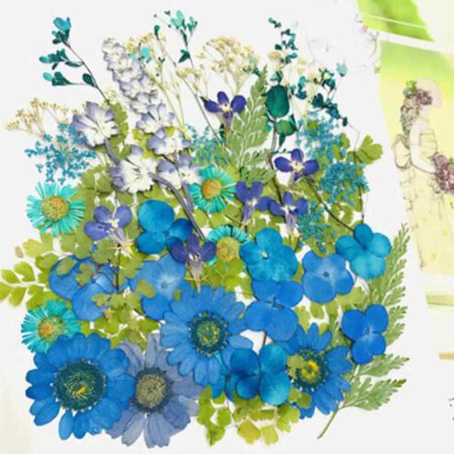 Description Picture 6 of item50pcs Mixed Dried Pressed Flowers Plant Herbarium For Jewelry Postcard Invitation Card Phone Case Art&Craft Making 7 Colors Pick