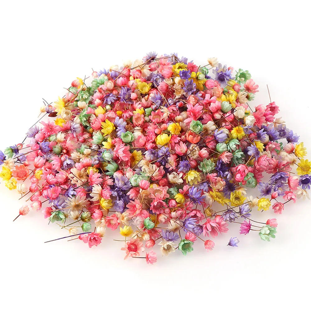 Description Picture 5 of item100/200pcs Artificial Flower for DIY Resin Candle Making, Jewelry Fill Art Craft, Home Decor Party Decoration Artwork Photo Prop