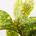 Slide image bba669f9037a42ba8fd604f4f720c9e6