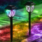 Colorful light