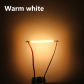 3V 38mm Warmwhite