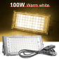 100W Warm White