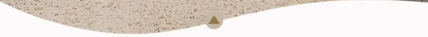 Description Picture 3 of itemCosmetics Trolley Portable Aesthetics Esthetician Organizer Cart with Wheels Beauty Room Wagon Salon Moving Carrinho Bar