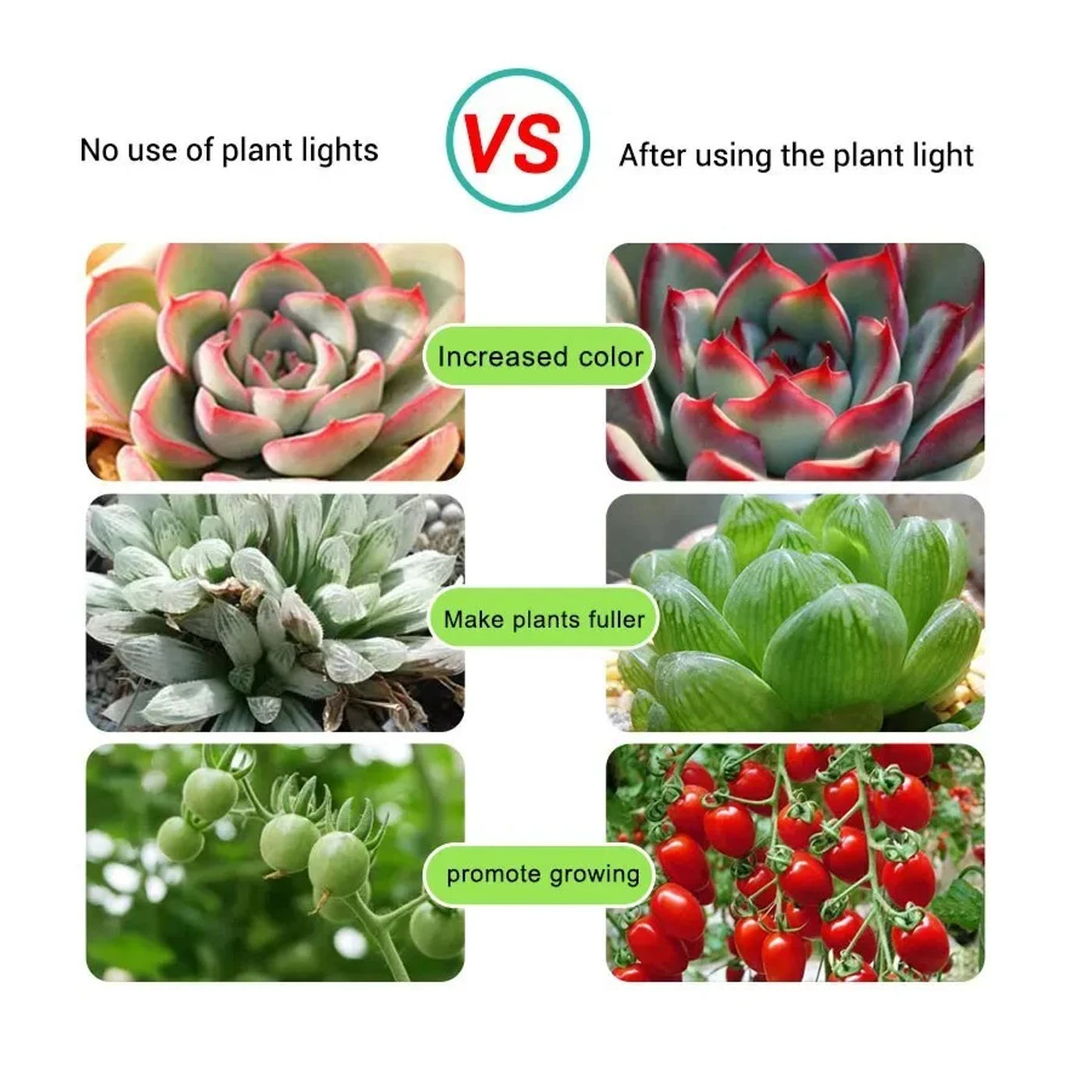 Slide 30c710280fc745bfa9632fc932b48a80