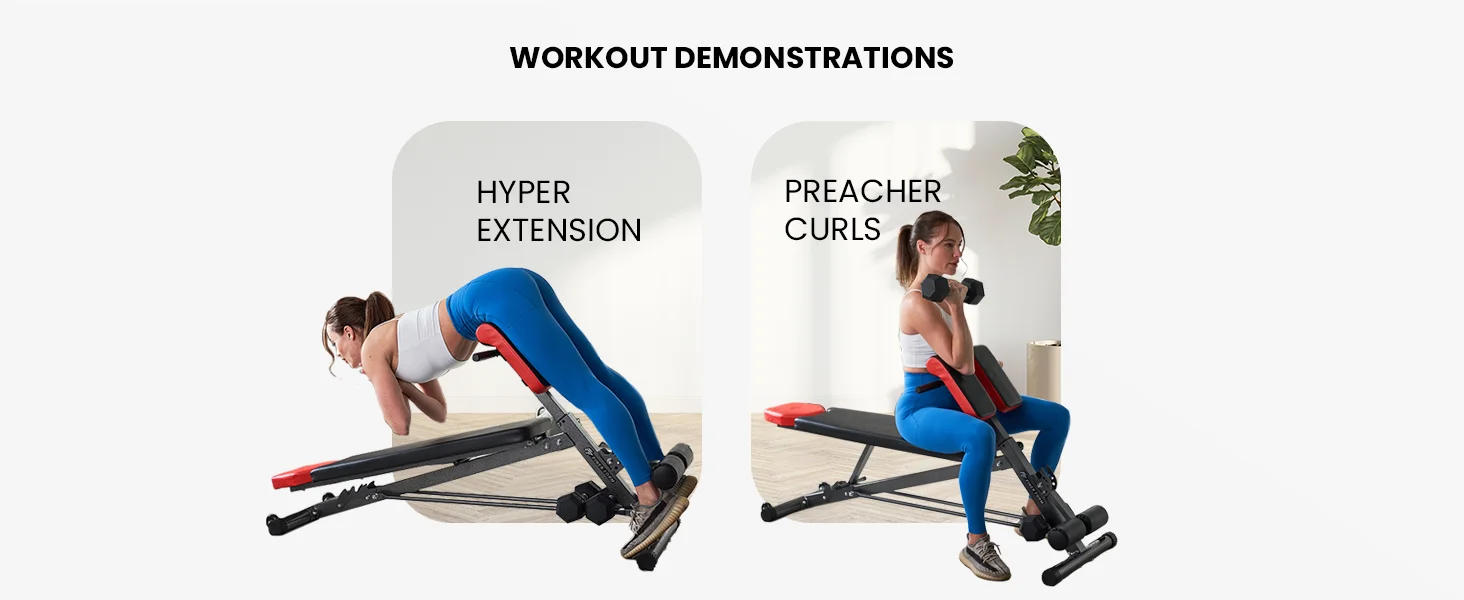 Description Picture 6 of itemForm Multi-functional Adjustable Weight Bench with Free Workout Chart. Adjust to Hyper Back Extension, Roman Chair, Ab Sit Up Be