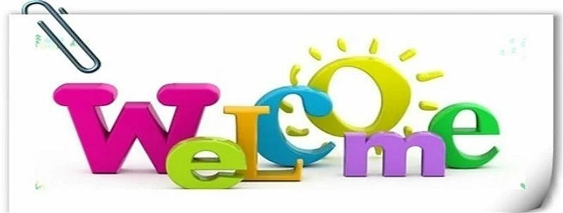 Description Picture 2 of item10 Colors Pleated Plaid Lace Webbing DIY Child Clothing Fluffy Skirt Home Textile Storage Basket Cat Dog Scarf Sewing Decoration