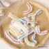 Slide image 1b4aadbf4dfc4568ad72e7c6f26f8f7f