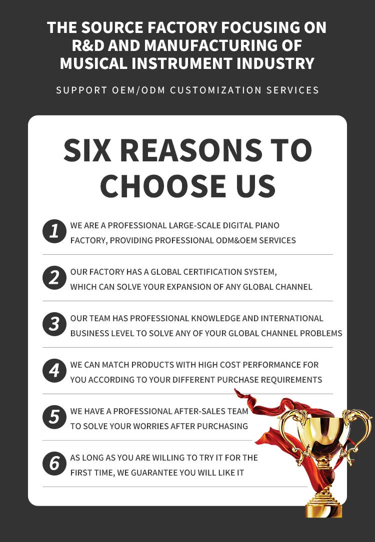 Description Picture 2 of itemBLANTH Drawer Piano Keyboard Electronic Piano Digital Piano Electric Musical Instruments