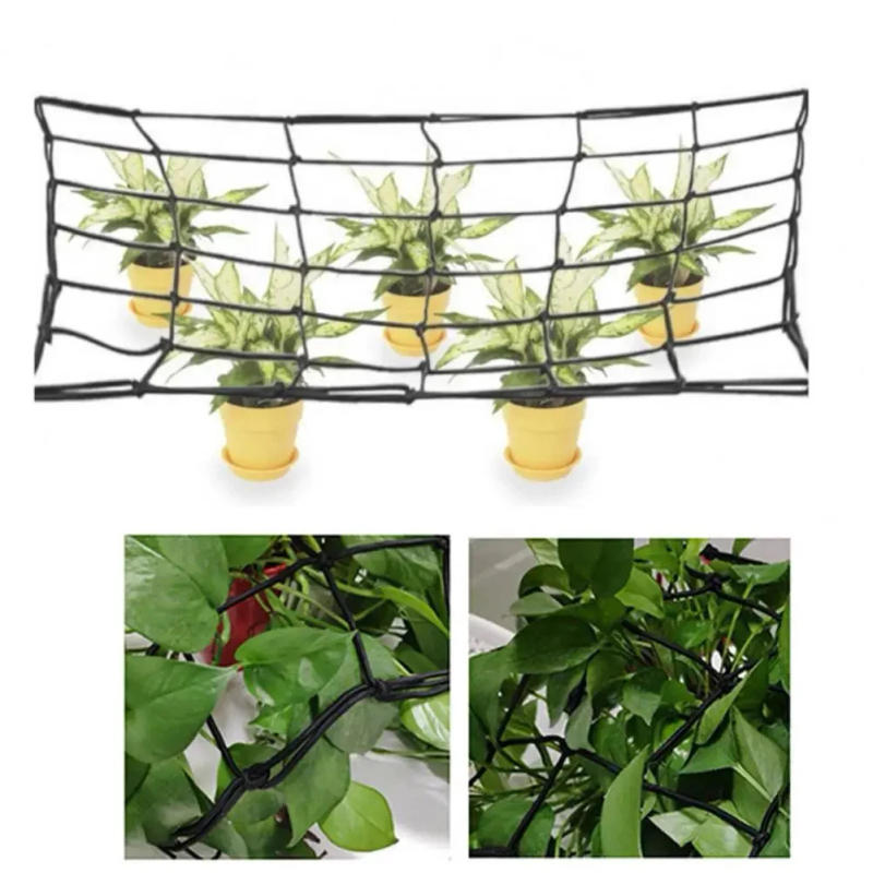 Description Picture 5 of itemPE Netting Elastic Trellis Netting Plant Growth Support Easy To Install Flexible Support Promotes Air Circulation For Grow Tents