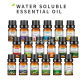 10ml