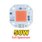 Full Spectrum 50w
