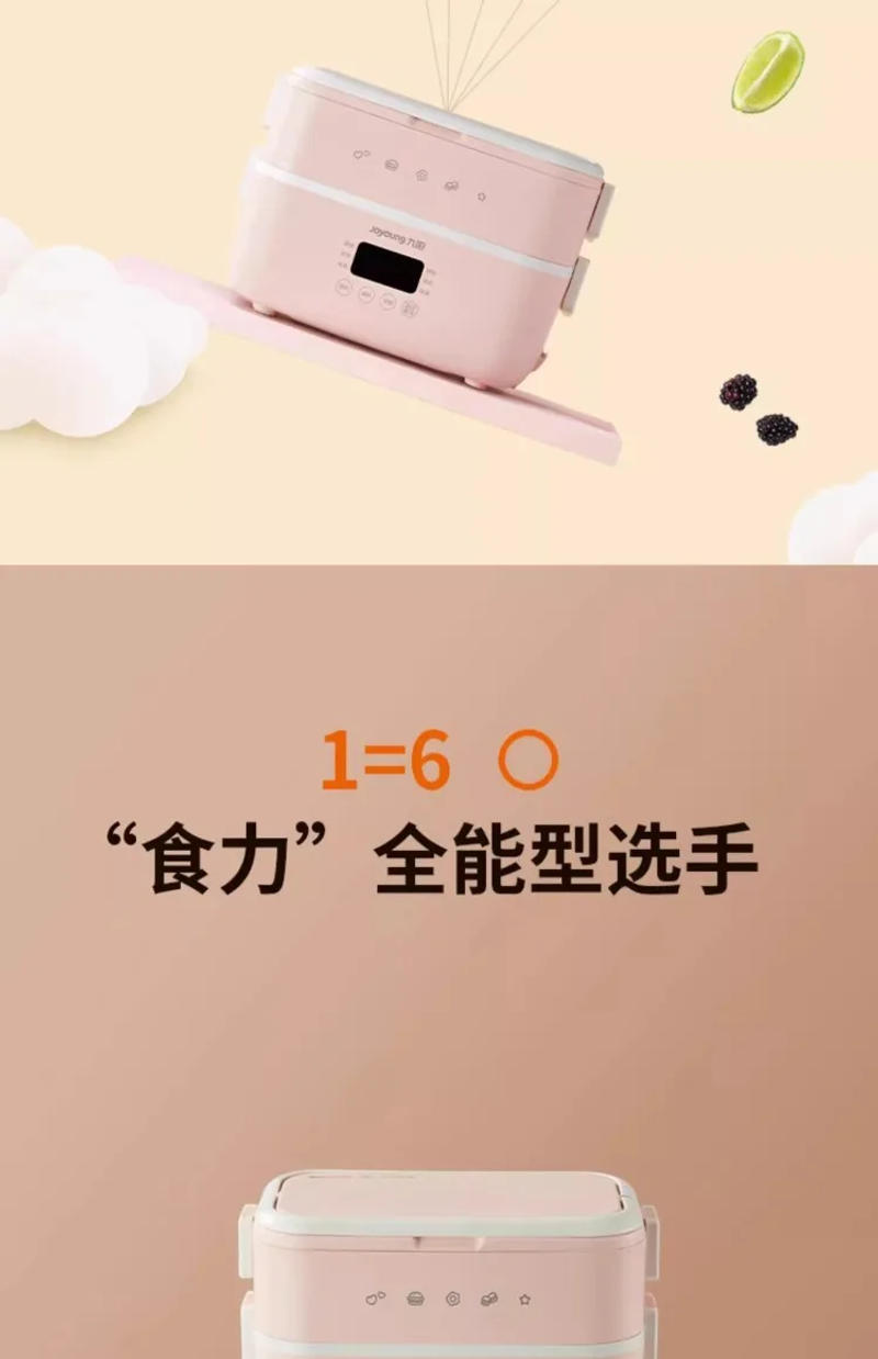 Description Picture 6 of item220V Convenient Plug-in Electric Lunch Box for Heating, Thermal Insulation Bento Box for Work, Office, and School Use