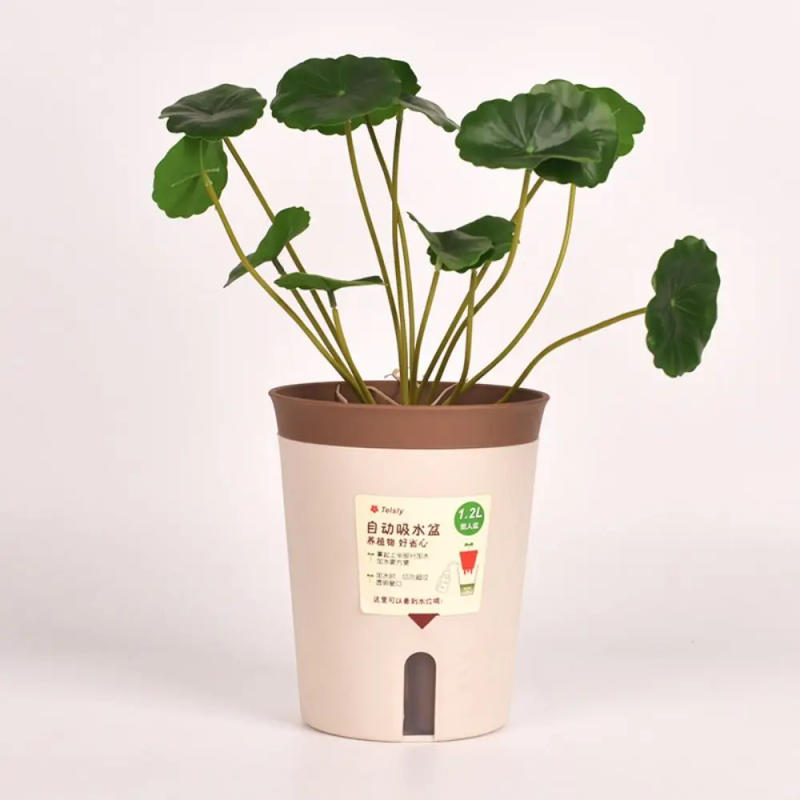 Description Picture 4 of itemPlastic Lazy Hydroponic Flower Pot Self Watering Planter Living Room Succulent Plant Pot Planter Office Decor