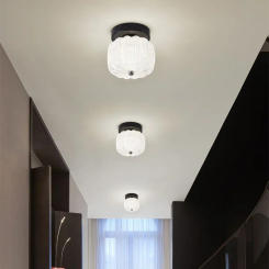 Modern LED Ceiling Lamp Cylinder Ceiling Spotlight for Bedroom Hallway Aisle Minimalist Home Decoration Indoor Lighting Fixture