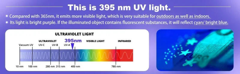 Description Picture 3 of itemUV Flashlights 395nm Black Light Flashlights 9 LED Ultraviolet Lamp Torch UV Light Detector for Pet Dog Cat Urine Stains