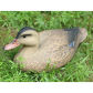 37cm Female Duck