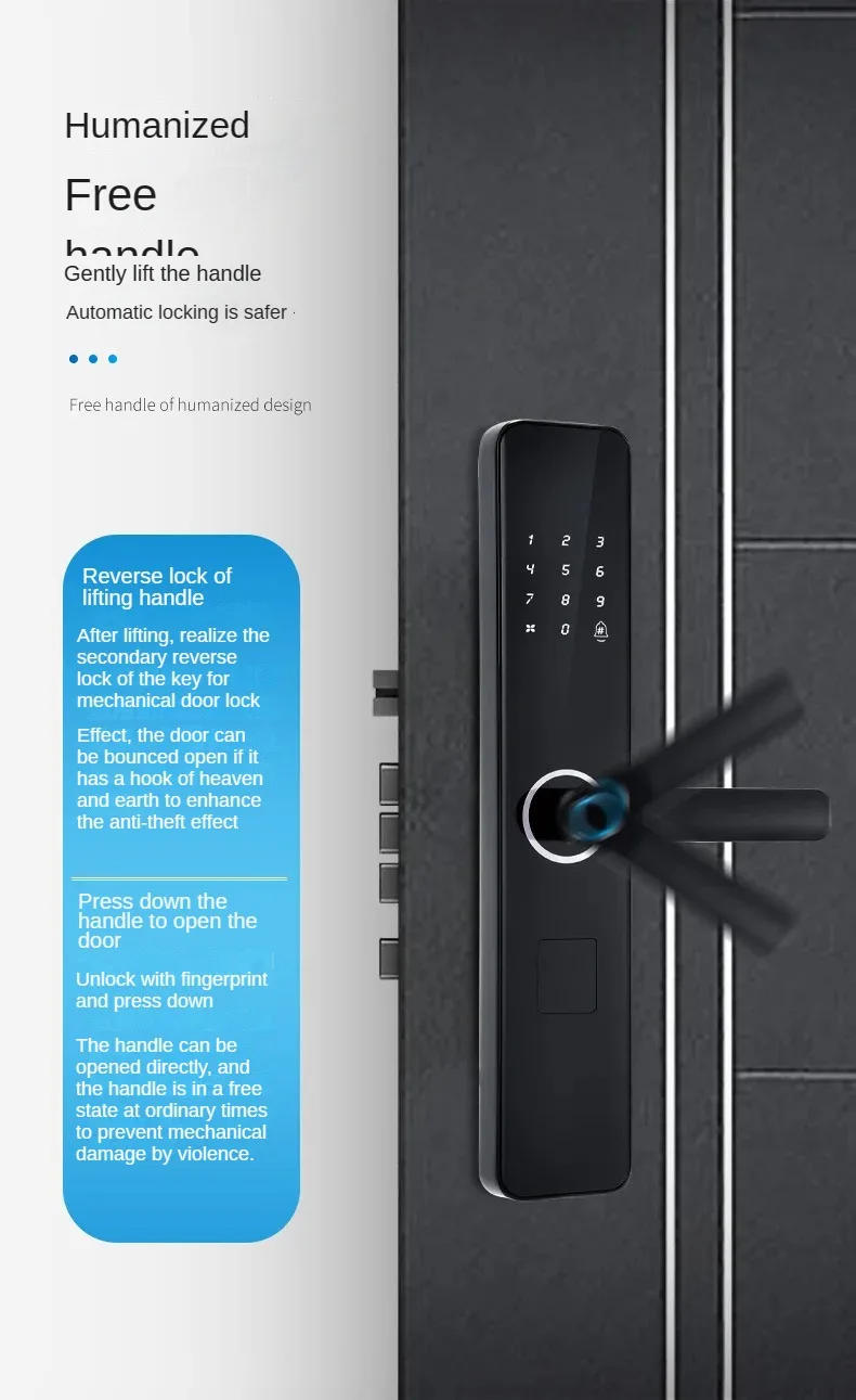 Description Picture 6 of itemEnglish version graffiti fingerprint lock, Tuya smart lock password lock with Body for Renting apartments