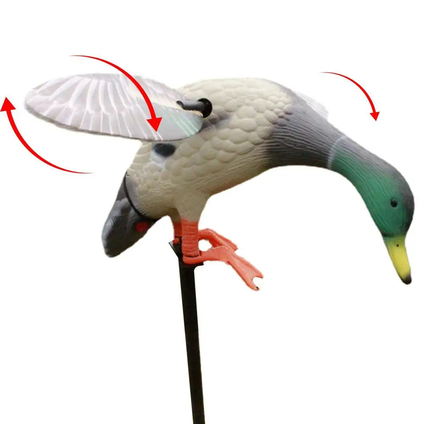 head_title lazy