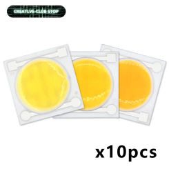 10pcs High Brightness LED COB Chip 5W DC 12V Smart IC Light High Lumens Ceramics LED Chip Beads DIY For LED Spotlight Floodlight