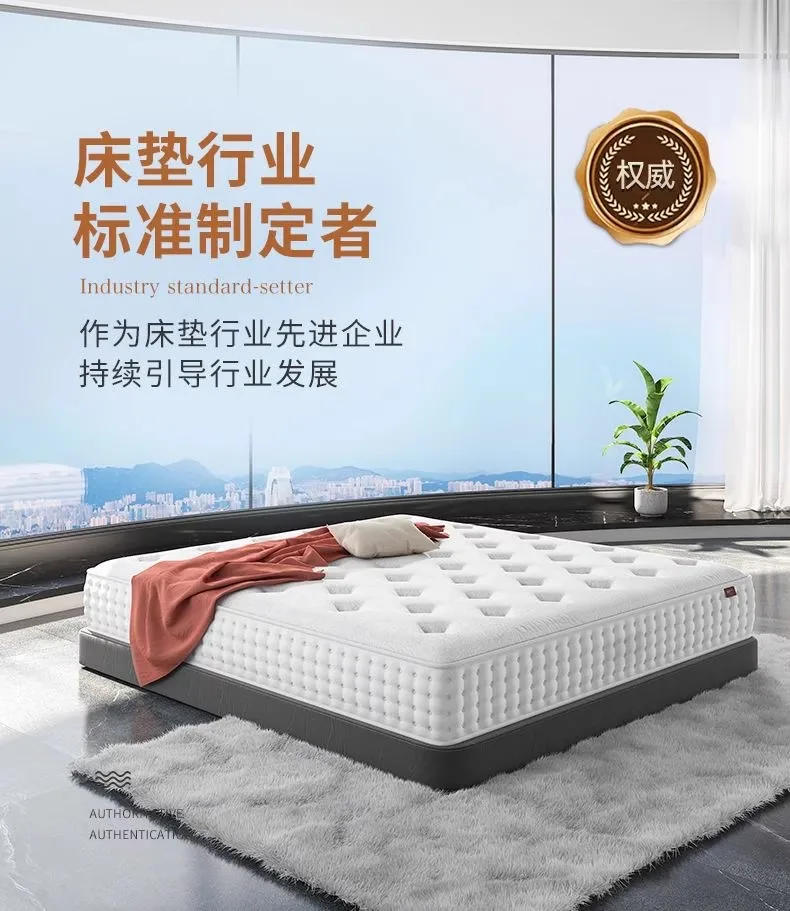 Description Picture 2 of itemQueen Latex Double Mattress Memory Foam Summer Firm Floor Mattress Children Designer Colchones De Cama Bedroom Furniture