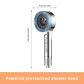 Silver Shower Head
