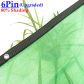 6Pin Green
