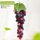 85Heads Grapes Mixed