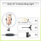 12-3 Colors Light